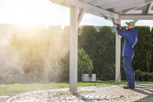 Best Patio and Deck Pressure Washing  in Sibley, IA